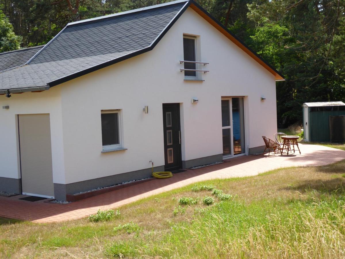Ferienhaus Am Waldrand - "Libelle" Tornitz 외부 사진